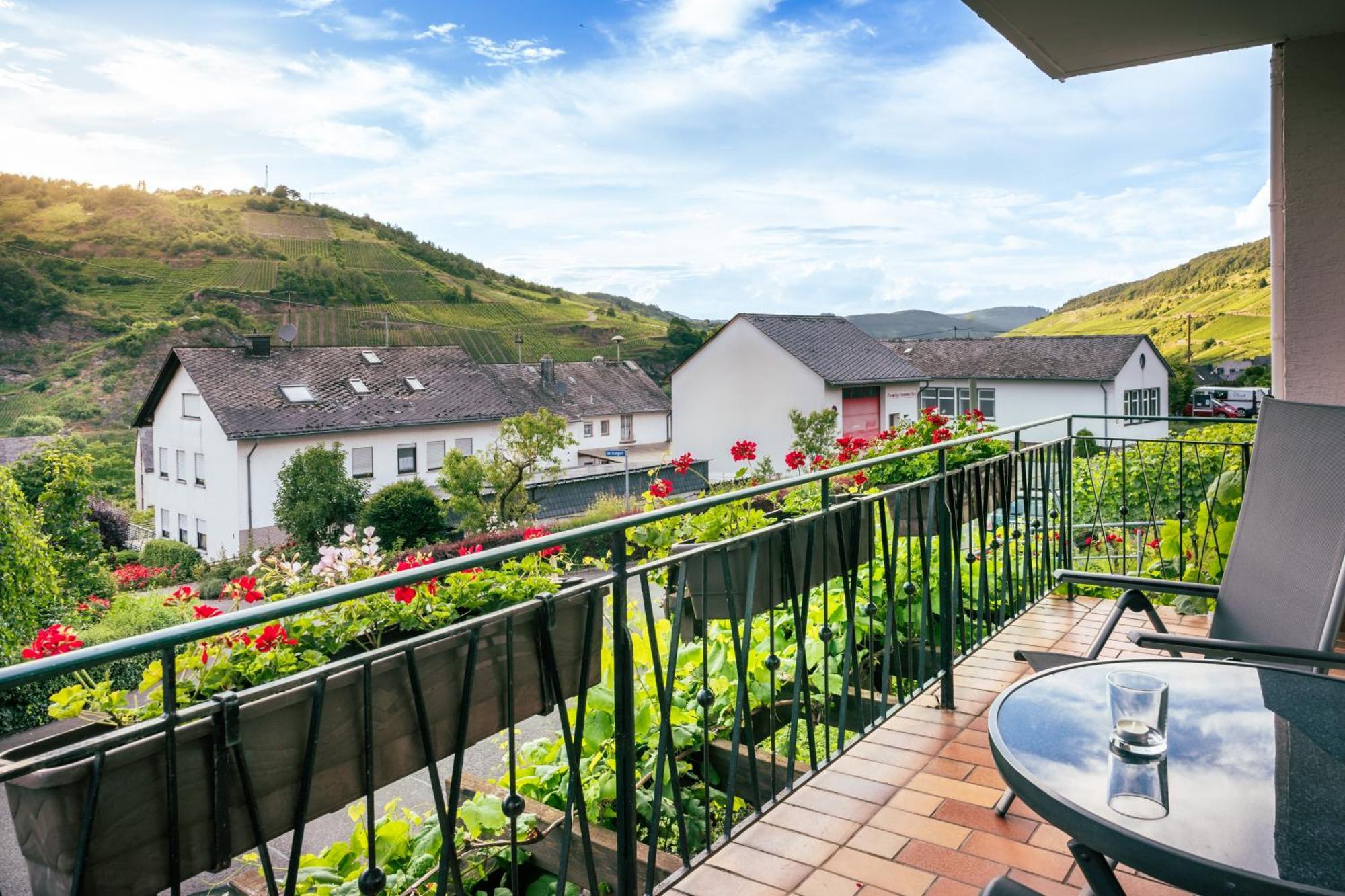 Ferienweingut Hirschen Schulstrasse Bed & Breakfast Burg  Ngoại thất bức ảnh