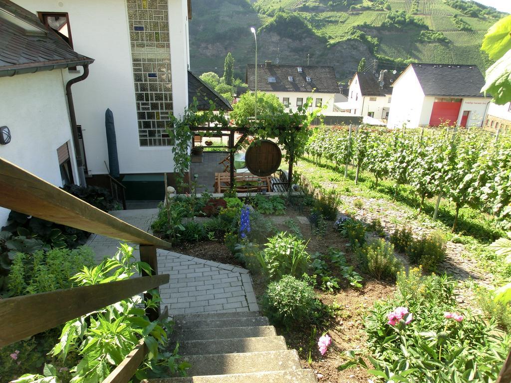 Ferienweingut Hirschen Schulstrasse Bed & Breakfast Burg  Ngoại thất bức ảnh